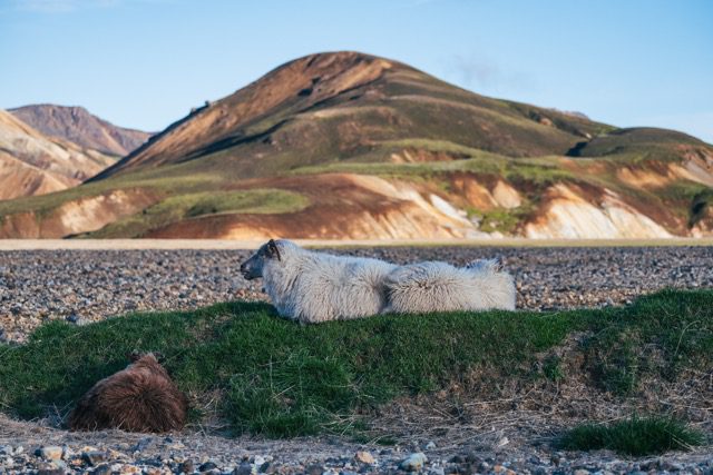 Randonnée en Islande sur le Laugavegur Trail.